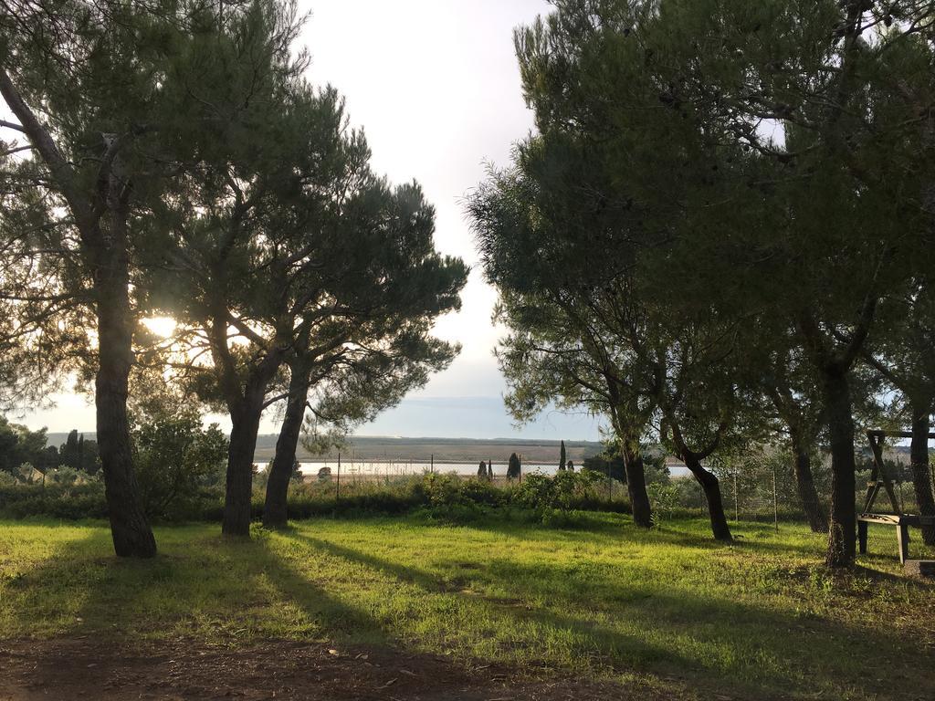 Il Piccolo Farm stay