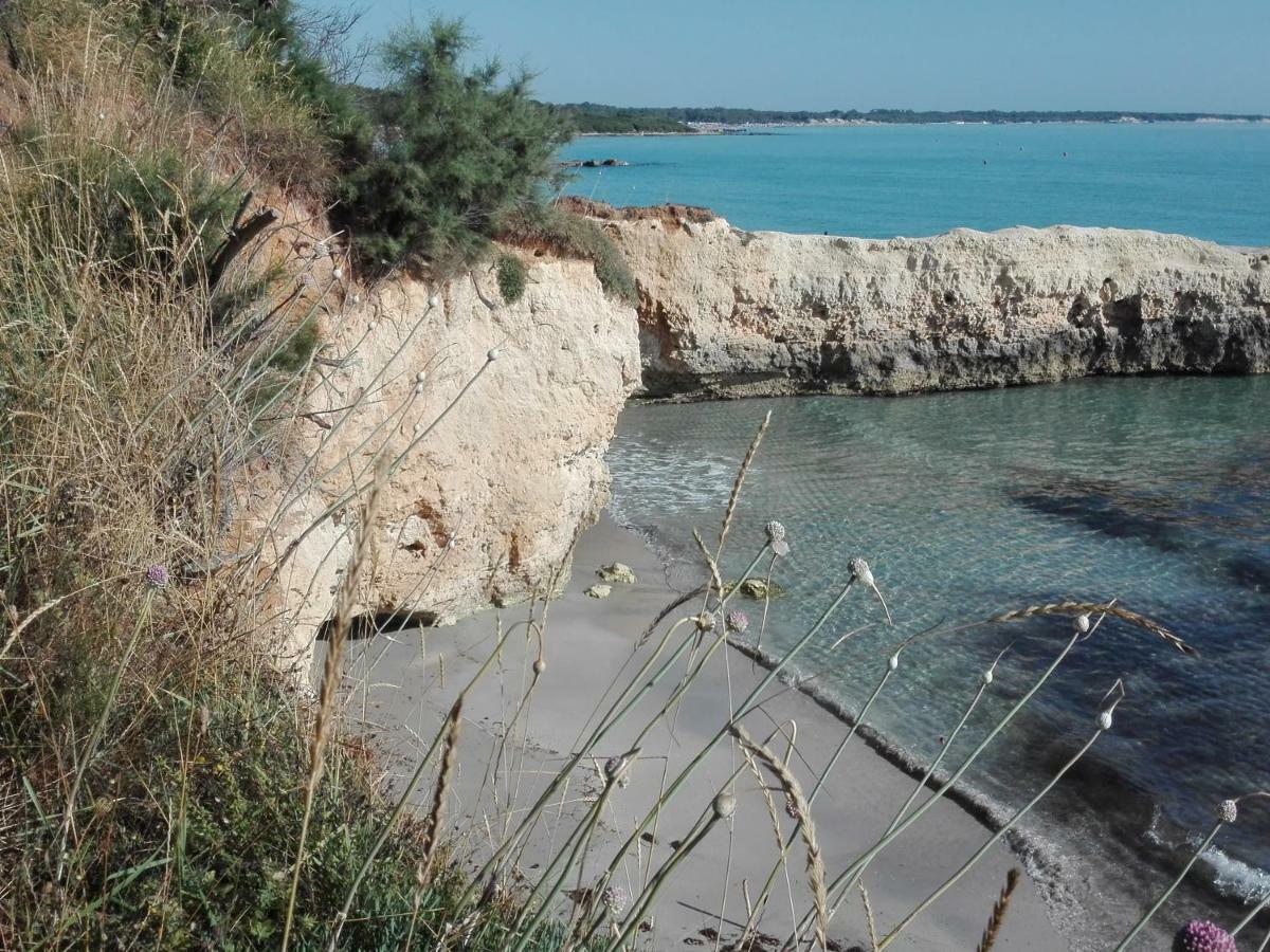 Il Piccolo Farm stay *